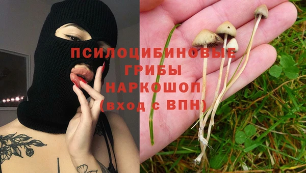 соль курить ск Алексеевка