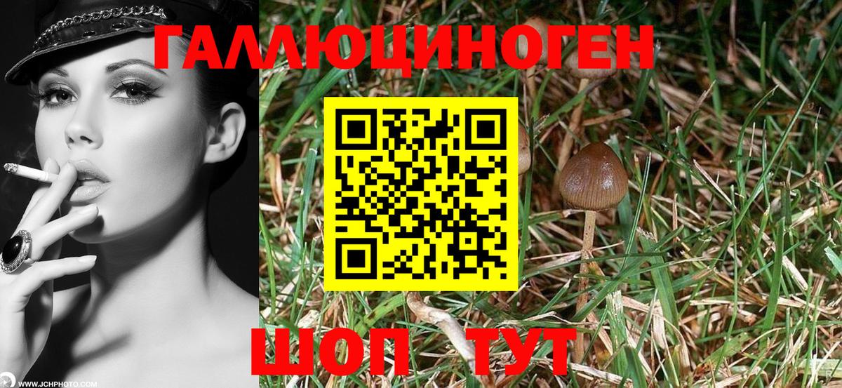 Галлюциногенные грибы мицелий  Галлюциногенные грибы ЛСД  Вход с VPN  Нарьян-Мар 