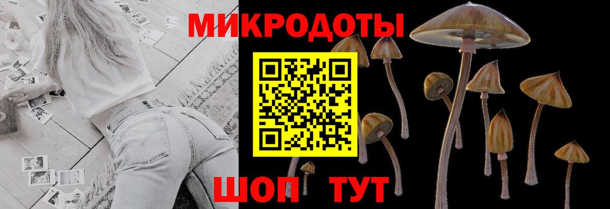 Псилоцибиновые грибы Psilocybine cubensis Нарьян-Мар