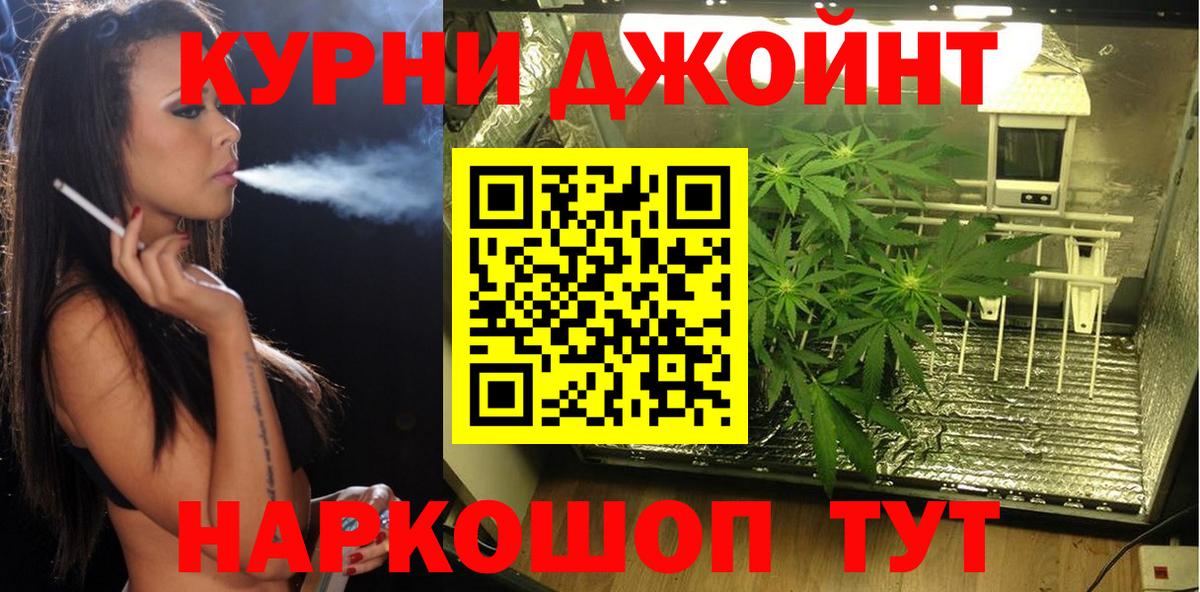 Конопля AK-47  Каннабис сатива  Вход с VPN  Марихуана план  Нарьян-Мар 